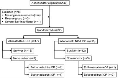 Concentrations and kinetics of renal biomarkers in dogs with gastric dilatation-volvulus with and without 24-h intravenous lidocaine